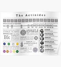 Element Infographics: The Actinides Poster