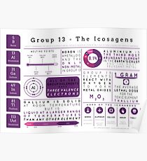 Element Infographics: The Icosagens Poster