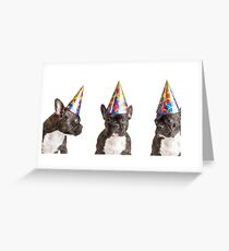 Party Dog Greeting Card