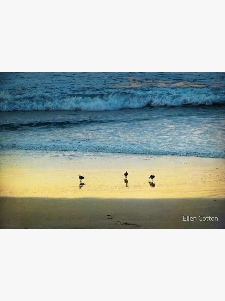 The Early Birds by ellcot