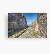 Pompei Metal Print