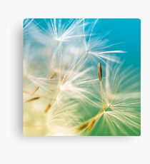 Summer Canvas Print