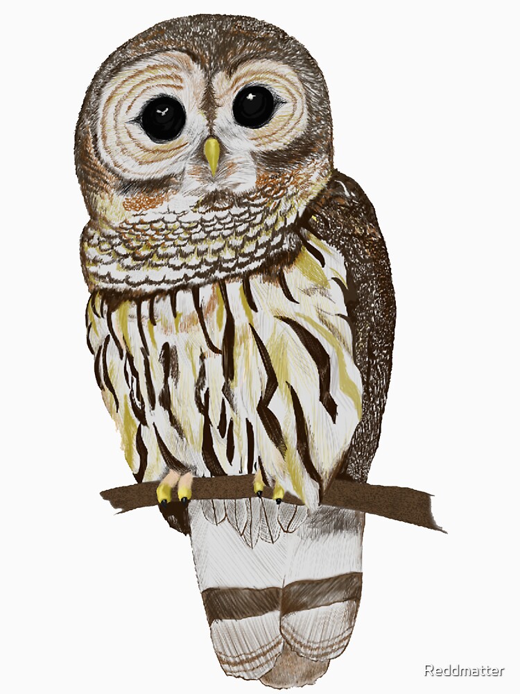 Hand drawn Barn Owl by Reddmatter