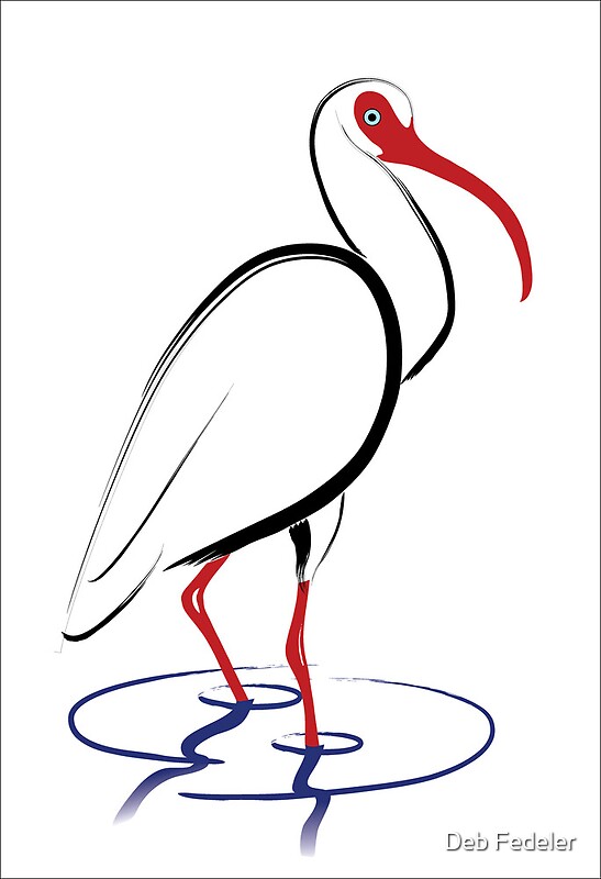 ibis drawing