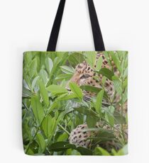 Amur Leopard Tote Bag