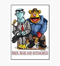Birds, Bears and Automobiles Photographic Print