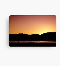 Last Light - Northern Tablelands Canvas Print