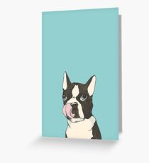 Hungry Boston Terrier (Black) Greeting Card