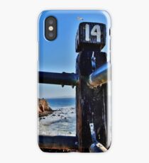 number 14 seagull iPhone Case