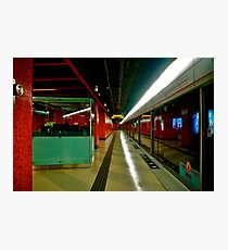 Screen Doors Photographic Print