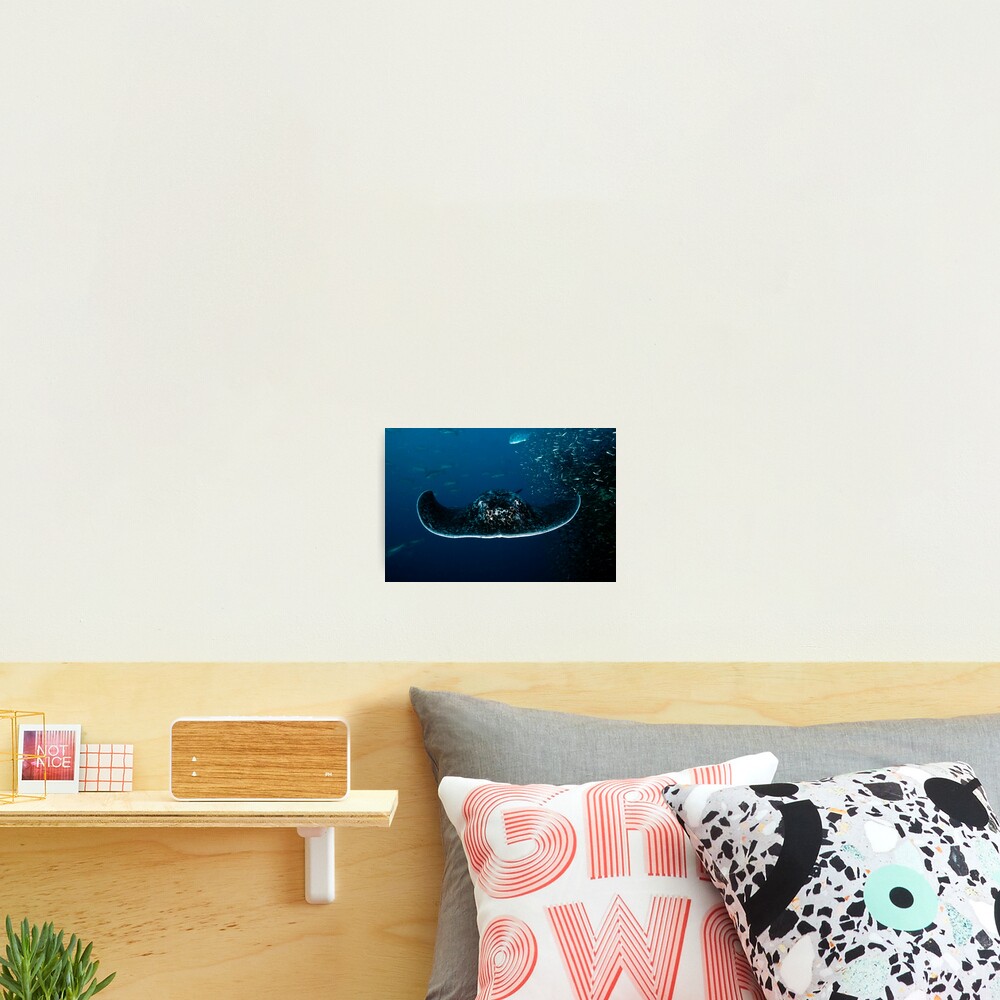 Cowboy hat Photographic Print
