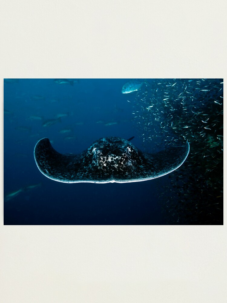 Alternate view of Cowboy hat Photographic Print