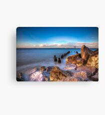 Seaview Sentinels Canvas Print