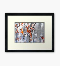 Survival Framed Print