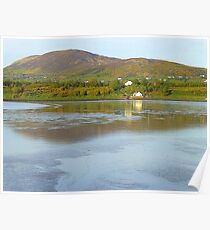 Irish Cottages In Donegal Poster