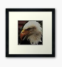 ASCii EQUAL EAGLE by ROOTCAT Framed Print