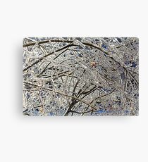 Winter Freezing Canvas Print