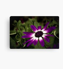 Senetti Leinwanddruck