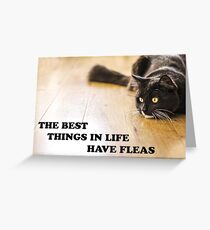 The Best Things In Life Have Fleas Greeting Card
