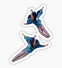 fly away ornacia Sticker