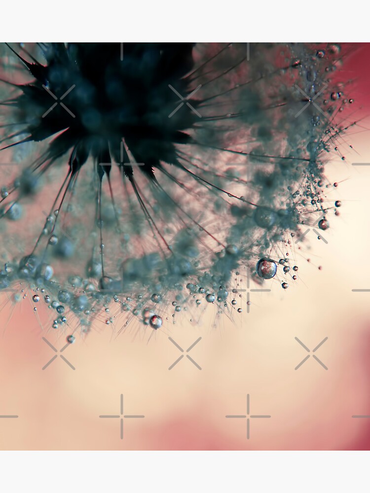 droplets of dusty blue by Ingz