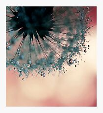 droplets of dusty blue Photographic Print