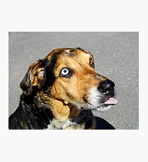 Anticipation Photographic Print