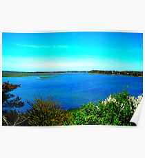 cape cod landscape Poster