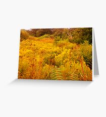 flower field Greeting Card