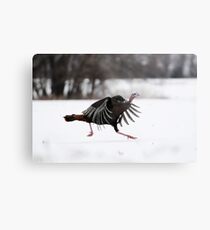 the turkey two step Metal Print