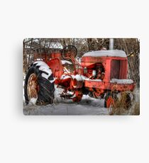 waiting for summer Canvas Print