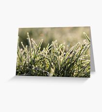 Frozen Grass Greeting Card