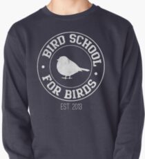 Bird School Pullover