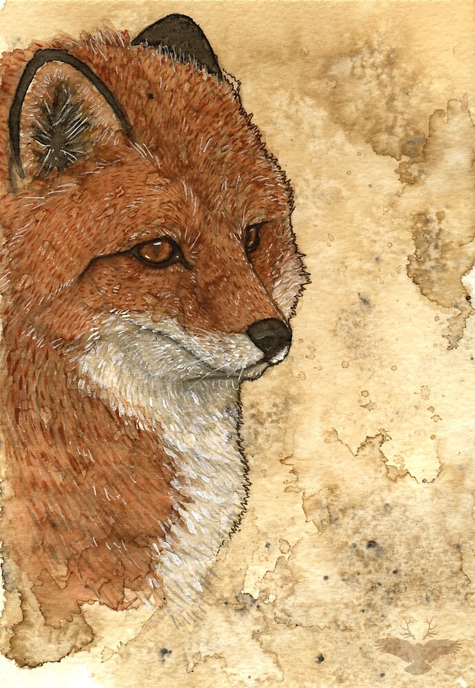 "Lone fox" by Bluecrow10 | Redbubble