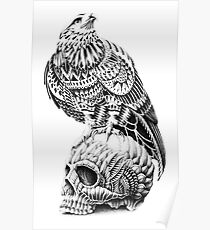 Red-Tail Skull Poster