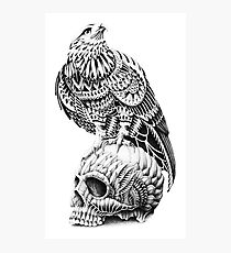 Red-Tail Skull Photographic Print