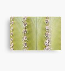 Green Cactus closeup - nature macro Metal Print