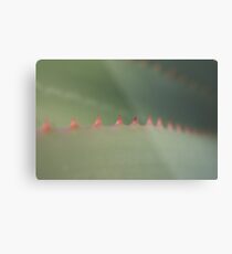 Nature Macro - Red Thorn Aloe Cactus Closeup Metal Print