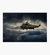 King of the Junglies Photographic Print