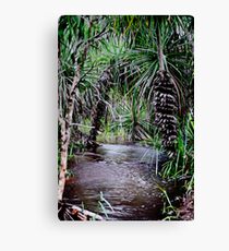Pandanus Northern Territory Wet Season Creek Canvas Print