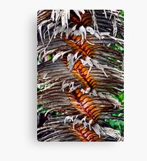 Northern Territory Pandanus Tree Canvas Print