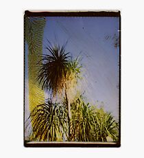 tropic Photographic Print