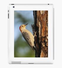 Red-bellied Woodpecker iPad Case/Skin