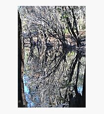 Limbs Akimbo Photographic Print