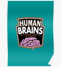 Human Brains Poster