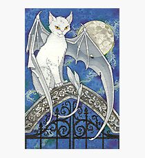 The Watcher at the Gate Photographic Print