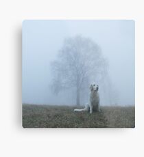 Foggy morning Metal Print