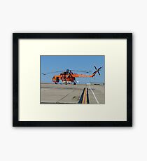 flying-monster collection 017 Framed Print