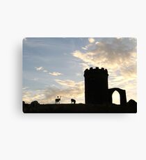 Old John at Bradgate park Canvas Print