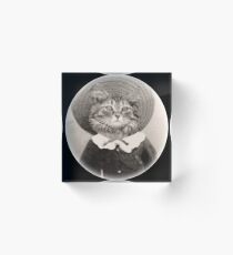 vintage hat cat Acrylic Block